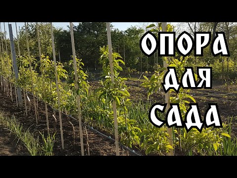 Видео: КАК СДЕЛАТЬ ОПОРУ НА КАРЛИКОВЫЙ САД