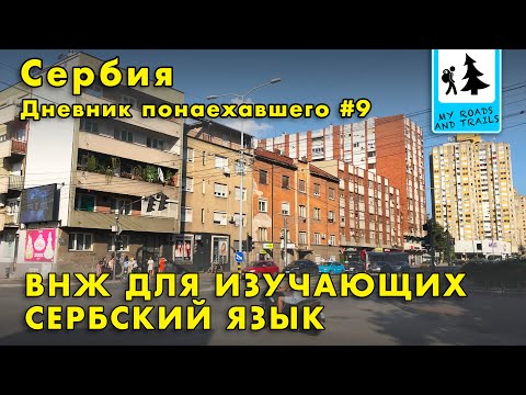 Видео: ВНЖ на основании изучения языка. Список документов. Дневник понаехавшего #9.