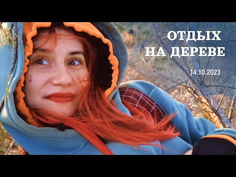 Видео: Ветренный день и лёжка на дереве (14.10.2023)