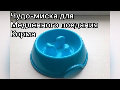 Видео: Миска для собак "скороедов" или учимся кушать медленнее