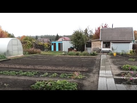 Видео: Как я избавился от сорняков на участке