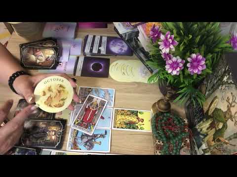 Видео: Мэлхий, Хилэнц, Загас 9/25-9/30