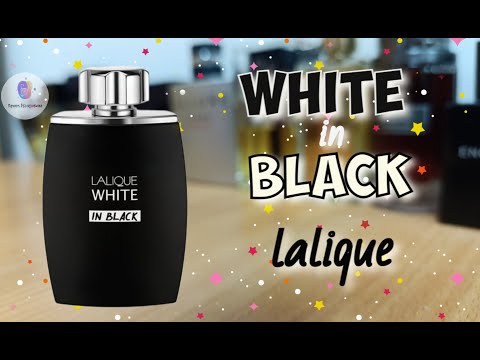 Видео: LALIQUE ⚫WHITE IN BLACK⚪ (2021) - классный мужской свеже-пряный парфюм на осень/зиму - мастхэв!