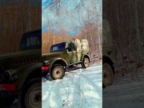 Видео: 🌲🌳❄️В Забайкалье пришла зима. ❄️🌳🌲