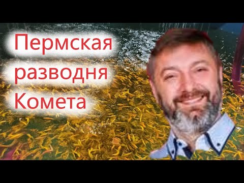 Видео: Пермская ферма аквариумных рыбок