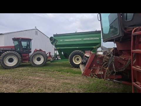 Видео: Финальная часть сбора урожая 2025 года — часть 3 | ФИНАЛЬНАЯ ЧАСТЬ