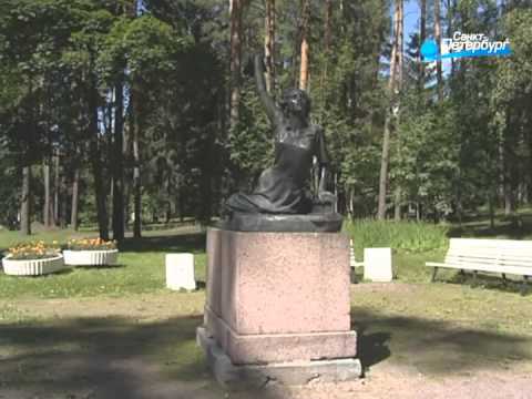 Видео: Программа о Зеленогорске на канале "Санкт-Петербург"
