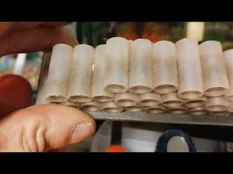 Видео: флоридский рак самка с икрой  😉  как я содержу самок #aquarium #fish #рак #subscribe