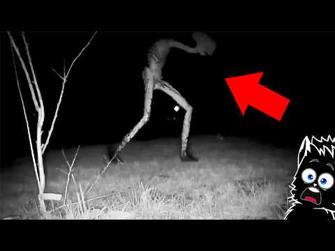 Видео: УРОДЛИВЫЙ МОНСТР и ДРУГАЯ ТУФТА СНЯТАЯ НА КАМЕРУ [Черный кот]