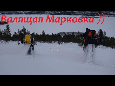 Видео: Summit 800 E -Tec  морковка .Отчетность