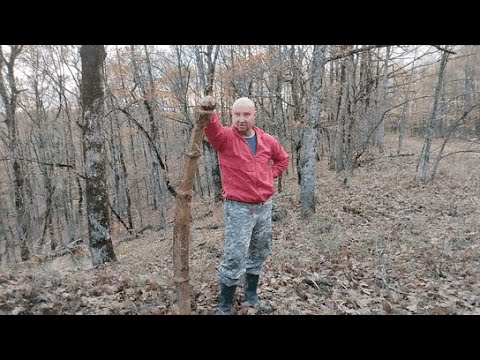 Видео: Первый коп в новом году.