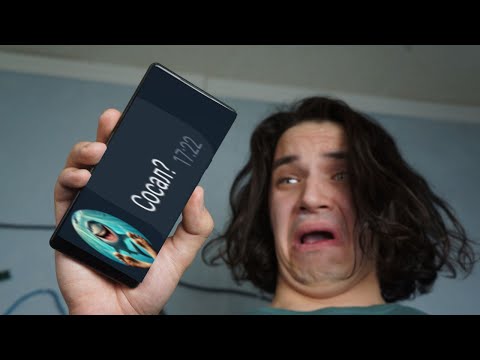 Видео: ЧЕСТНО ОТВЕЧАЮ НА ВОПРОСЫ ПОДПИСЧИКОВ