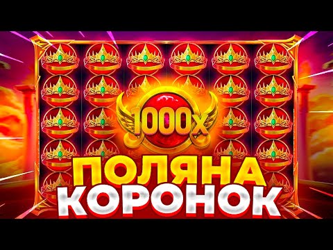 Видео: ЛУЧШИЙ ЗАНОС!!! СЛОВИЛ ОГРОМНУЮ ПОЛЯНУ КОРОНОК!!!