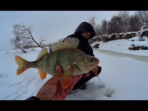 Видео: НЕ ЗРЯ ПРОБИВАЛИСЬ!!!ОКУНИ-КАБАНЫ СРАЗУ ОБНАРУЖИЛИ СЕБЯ!Рыбалка не первый лед