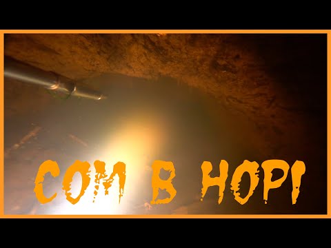 Видео: СОМ В НОРІ # ЕПІЗОД 3 | ПІДВОДНЕ ПОЛЮВАННЯ 2024