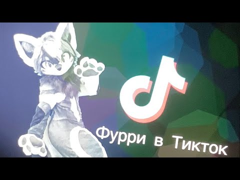 Видео: Фурри из тик тока💞 (Furry from tiktok💞)