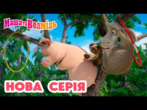 Видео: Маша та Ведмідь 💥 Нова серія 💥 Будемо грати в цирк! 🤹‍♀️🎪 Збірник серій