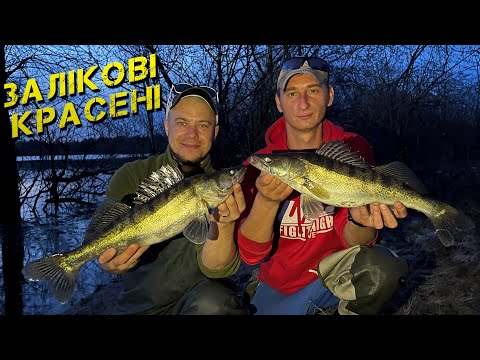Видео: ✅Оце СУДАКИ! 2 ДНІ НА РІЧЦІ ДНІПРО✅