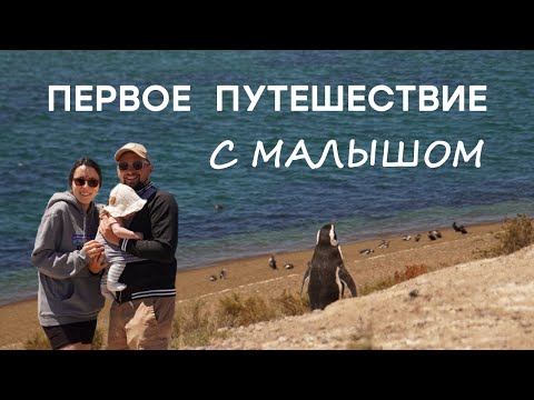 Видео: Мы переехали в АРГЕНТИНУ, а теперь показываем её сыну: Пуэрто-Мадрин!