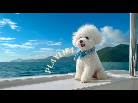 Видео: Playlist[cafe] 🌿 Плейлист для счастливого дня 💞 Chill/R&B｜☕Отдых·Кафе·Работа｜Remupop