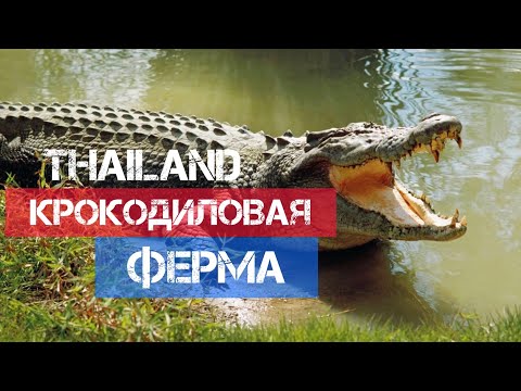Видео: КРОКОДИЛОВАЯ ФЕРМА . ПАТТАЯ 2022