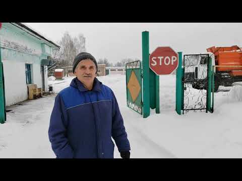 Видео: В/ч 78424 Мышанка