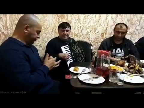 Видео: Ибрагим Шамаев в кругу друзей. Душевная песня🎶🎤🎵.