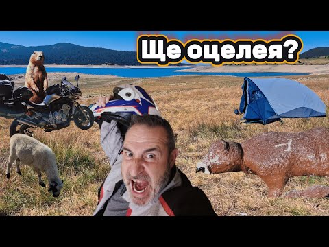 Видео: Белмекен с мотор: ще оцелея ли сред мечките?