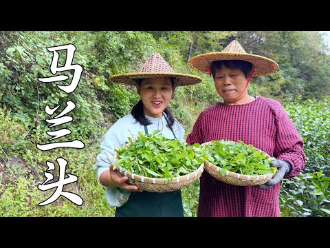 Видео: Свекровь и невестка вместе работали на ферме и вместе готовили еду.