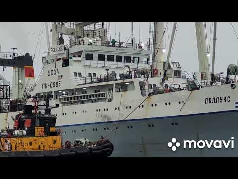 Видео: Швартовка БАТМ,,ПОЛЛУКС "к причалу  Петропавловск-Камчатский 18.052024г.