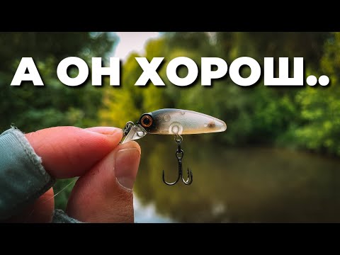Видео: Ставлю ЭТОТ ВОБЛЕР И КЛЮЁТ! ЛОВЛЯ ГОЛАВЛЯ в июне. Рыбалка с Narval Fishing Micro-N Travel 634UL-T