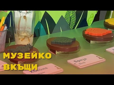 Видео: Как се храни листото?