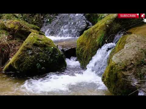 Видео: Если сыграешь лучше моего пианиста — заплачу миллион!