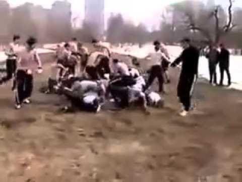 Видео: Дариус пВп 56