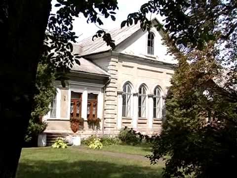 Видео: Телепрограма Городенка