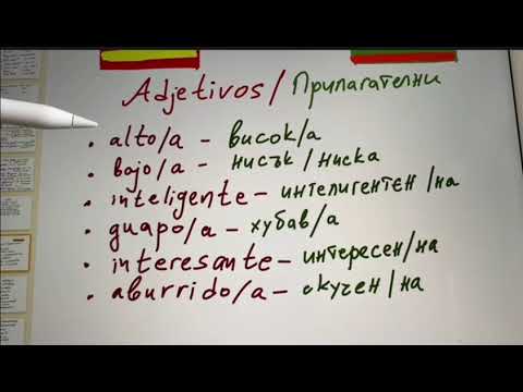 Видео: Начално ниво А1 по испански 🇪🇸Основни прилагателни на испански 🇪🇸/ adjetivos básicos en español