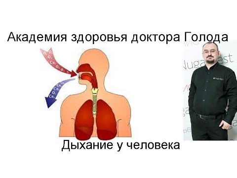 Видео: Дыхание человека - наружное и тканевое дыхание