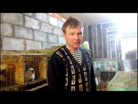 Видео: Клетка для откорма .