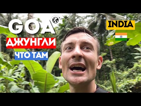 Видео: ГОА. Гуляю по Джунглям один Индия, Что посмотреть в ГОА, Индия блог