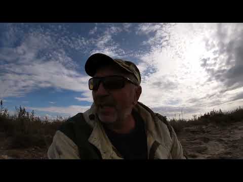 Видео: Не легко поймать лобаня