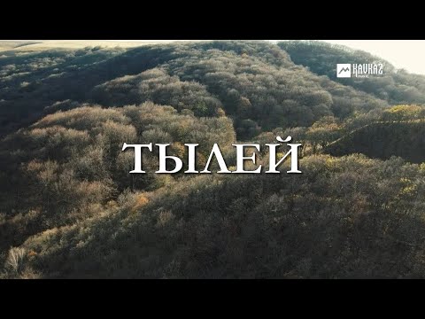 Видео: Тылей