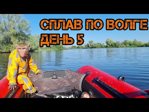 Видео: Сплав по Волге с обезьяной. День 5