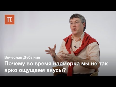 Видео: Мозг и вкус — Вячеслав Дубынин