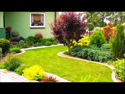 Видео: Дизайн и благоустройство Идеи для вашего вдохновения / Great ideas to make your garden beautiful