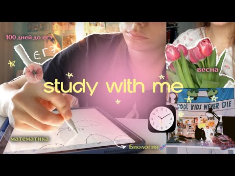 Видео: неделя учебы в 11 классе: весна, пробники, до егэ 100 дней 🧬📊📚