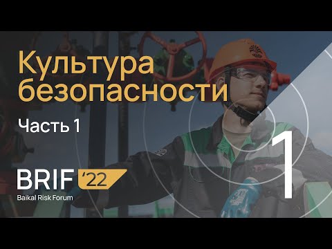 Видео: BRIF'22 Культура безопасности. Часть 1