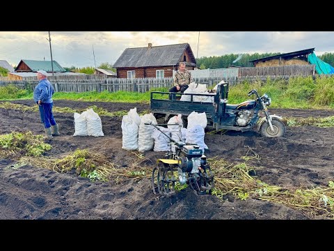 Видео: КОПАЕМ КАРТОШКУ В ДЕРЕВНЕ. ПЕРВЫЙ ВЫХОД НА ОХОТУ ПО ВОДОПЛАВАЮЩЕЙ. 