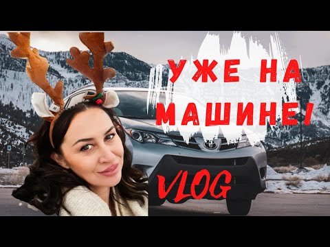 Видео: Третий день в Канаде. Купили машину и еду | Iren Sigal #переездвканаду
