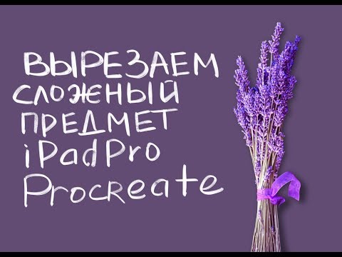 Видео: Как вырезать сложный предмет с фотографии на iPadPro в программе Procreate