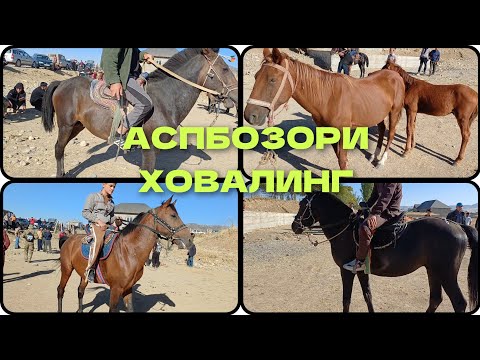 Видео: АСПБОЗОРИ ХОВАЛИНГ
